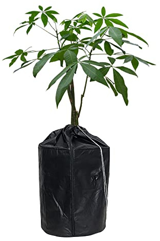 RNCOZE Sac de protection pour plantes d'hiver en tissu Oxford noir avec film en aluminium, isolation pour légumes, arbres fruitiers