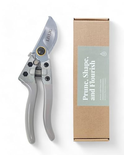 LIVLIG Cesoie da giardino, Lame in acciaio di alta qualità, Cesoie bypass professionali, Cesoie universali per fiori, Cesoie per piante e rose