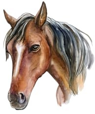 Edible print Horse Cake topper decoration icing paper up to 7 - uncut (6)