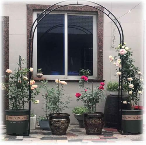 Arche de jardin extra large 300/350 cm – Support pour plantes grimpantes, tonnelle de mariage, pergola pour décoration extérieure, treillis métallique durable, parfait pour les vignes et les fleurs