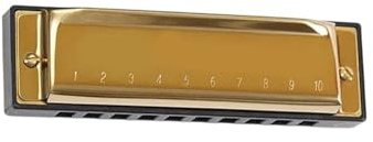Mundharmonika C-Mundharmonika-Set Für Anfänger Diatonisch 10 Löcher Blues-Mundharmonika Mit Phosphorbronze-Stimmzungen(Gold)