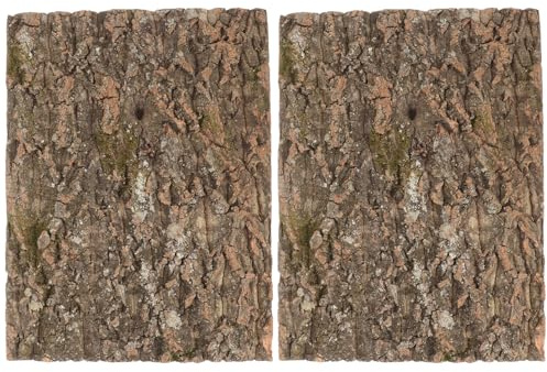 BELLIFFY Kork Klettermatte für Reptilien mit Großer Rinde, 2 Stück | Natürliche Rückwand für Gehege und Aquarium, Texturierte Optik, für Echsen und Bartagamen