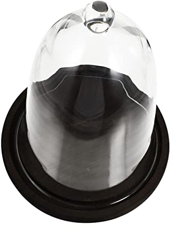 COHEALI Preserved Flower Glass Cover Creative Adornment for Micro Landscape Decorative Glass Dome for Eternal Dried Flowers for Home Office Display