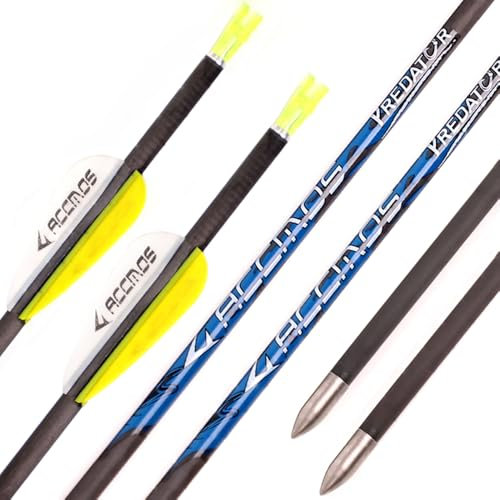 PHILOCS 12 Stück ID 4,2 mm Blaues Etikett Jagd-Übungspfeil Spine 300 350 400 450 500 600 700 800 900 1000 Bogenschießen Pfeile für Compound-Bogen Recurve-Bogen (Spine 800, 30inch)