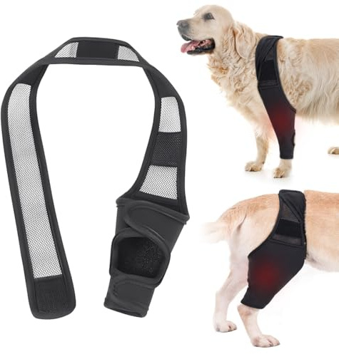 LAKPYN Rodillera para perros, protector para patas traseras, fabricada en neopreno para LCA, lesiones de ligamentos, luxación de rótula u osteoartritis - Talla M