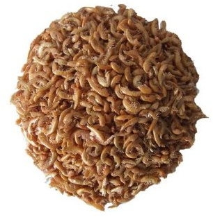 Gammarus Bachflohkrebse 10000ml | Naturfutter für Koi, Zierfische & Reptilien - Proteinreich & farbunterstützend - Wertvolle Nahrungsergänzung