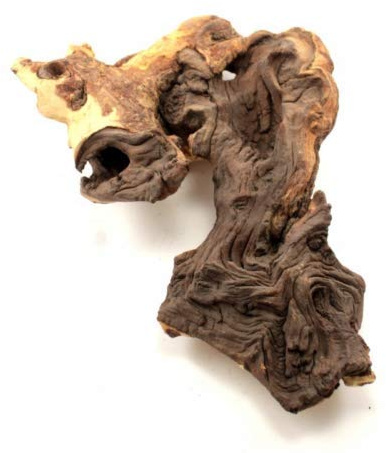 TM Aquatix Aquarium Driftwood Red Moor Wood for Fish Tank Natural Decoration - Premium Piece (Mopani 15-20cm)