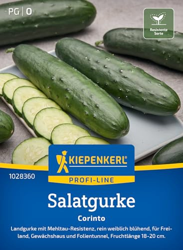 Kiepenkerl Salatgurkensamen Corinto 1028360, Gemüsesaat | Dunkelgrüne Gurken-Gemüsesamen, leicht gestachelte Früchte mit hohem Ertrag, Wuchshöhe ca. 30-200 cm
