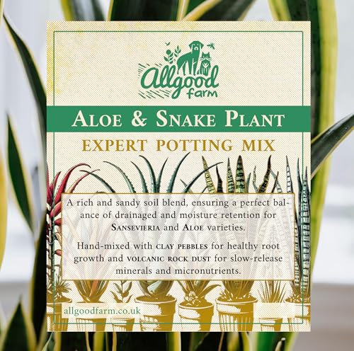 Allgood Farm Aloe & Snake Plant Soil - Expert Potting Soil Mix for Sansevieria, Aloe Vera, Mother-in-Law's Tongue (1 Litre)