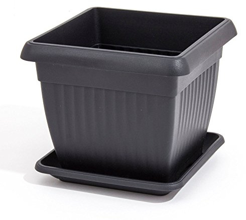 Prosperplast Pot de fleurs et soucoupe en anthracite - 41x41x5.5 cm