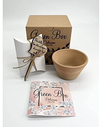 Generico Green Box Scatola con vasetto e Semi per piantina con Tag 'Fai della...
