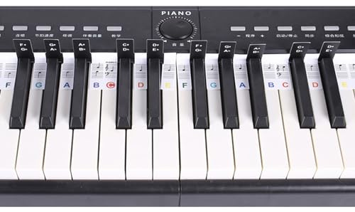 Golden Apple Removable PVC Piano 88 Key Notes Letter Label for Beginner Piano Keyboard Notes Lables Reusable Piano Notes Guide (Colorful)