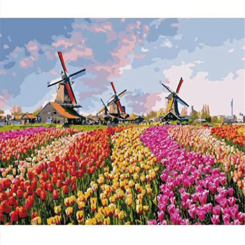 YSCOLOR Malen Nach Zahlen Für Erwachsene Windmühlen In Den Niederlanden Malen Nach Zahlen Für Anfänger Diy Erwachsene Malen Nach Zahlen Kits 40X50cm