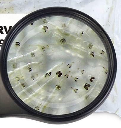 Lebendfutter Fischfutter SAHAWA 5 x 90ml Rote Mückenlarven und 5X 90 ml Weiße Mückenlarven