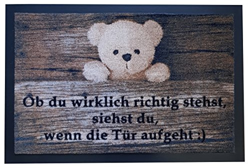 Trendstern Trendprodukteshop Fußmatte Fußabtreter Fußabstreifer Schmutzmatte Motiv Design Eule Cat Katze Hund Dog OWL (braun-Teddy-Bär)