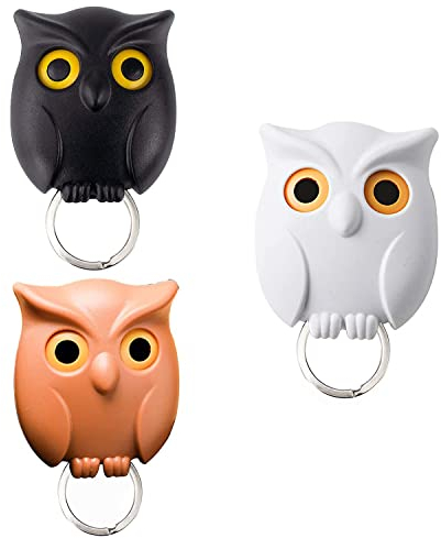 Norhogo 3 Stück Schlüsselhalter für Wand, Hakenleiste Schlüsselleisteb, Eulenschlüsselhalter mit Offenem und Geschlossenem Augen-Design, für Aufhängen von Schlüsseln Zu Hause order im Büro