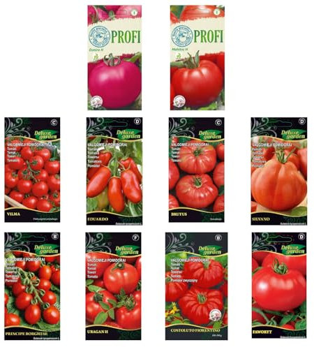 Nojus - Lot de graines de tomates - 20 variétés - Kit de démarrage de graines de tomates diverses - 20 paquets - Graines de jardin Plantes - Graines Boîte de légumes - Boîte de graines