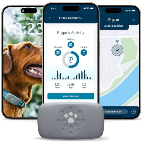 Petivity GPS intelligente e tracker per cani di attività