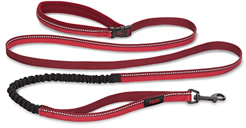 HALTI Aktiv Hundeleine – Griff mit Neopren-Polsterung, 3M-Reflektorgewebe und Stoßdämpfung. Freihandleine, Ideal zum Laufen mit mittelgroßen und großen Hunden (Größe Groß, Rot)