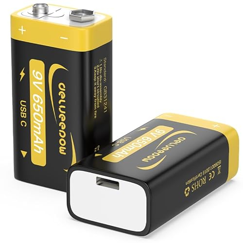 Delyeepow 9V Blockbatterie Batterien, 650mAh wiederaufladbar 9V 2 Stück
