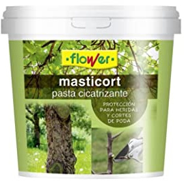 Masti-Cort pâte cicatrisante pour arbres, 1 kg