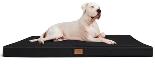 tierlando® Orthopädische Hundematratze Oscar Easy CLEAN aus Kunstleder mit Visco-Schaumfüllung, druckentlastende Hundematte mit Rutschfester Unterseite Größe: 100x80cm | Farbe: 03 Schwarz