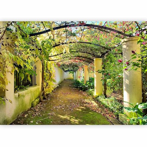 Fotomurali ! Carta da parati sulla fliselina ! Hit ! Carta da parati in TNT ! Quadri murali XXL ! Fotomurale 400x280 cm – natura 10110903-18