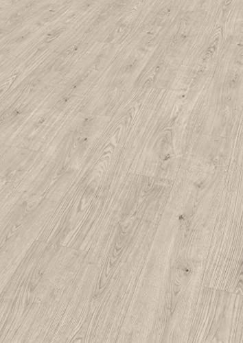 Egger Laminatboden Aqua Clic It EL1001 Berdal Eiche grau (8mm, 1,995m²) | authentische Holzoptik | | Einfache Verlegung durch Klicksystem | Praktisch & wertbeständig