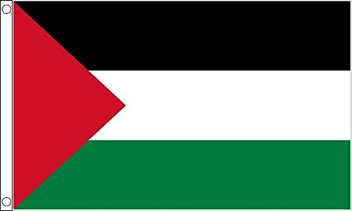Flag Wholesaler Palestine Bandera, Unisex, Multicolor, Large