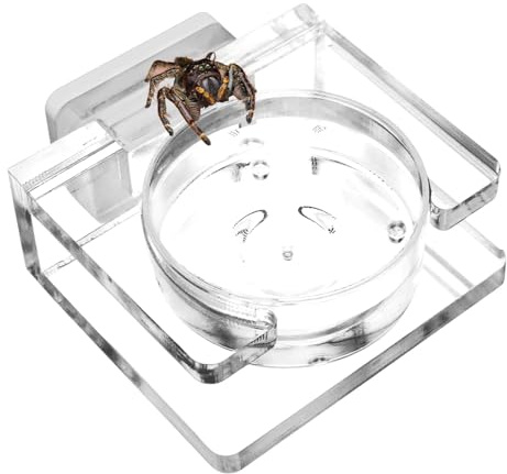 ycezw Spinnenfutterschale – Spinnen-Wasserschale, magnetischer Reptilien-Wassernapf, Acryl-Futterspender für Springspinnen, für Haustiere, Gecko