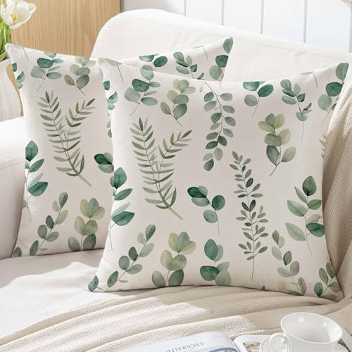 ViaElayu Frühling Kissenbezug 40x40 Eukalyptus Kissen Outdoor Sofakissen Grün Blätter Aquarell Kissenhüllen Dekokissen Kissenbezüge Deko Mintgrün Garten Sofa Dekokissen Couchkissen 2er Set