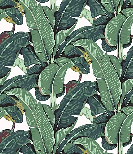 Meihodan Tropical Palm Leaf Peel and Stick Wallpaper Green Banana Leaves Self Adhesive Wall Paper Removable Contact Paper for Living Room 17.7in x 9.8ft
