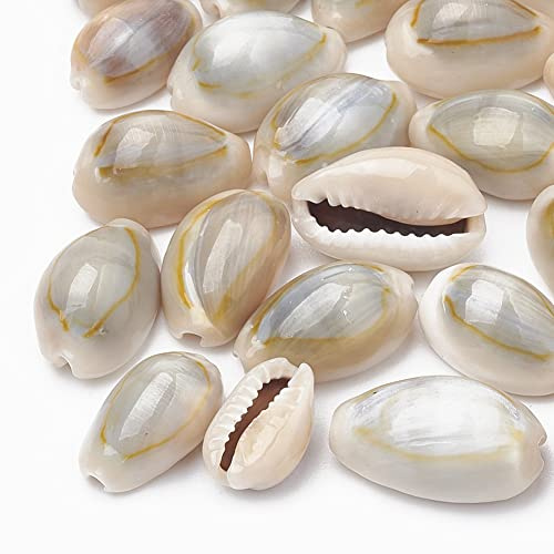 Boutigem Environ 850 perles de coquillage de cauris naturelles en spirale pour la fabrication de bijoux, bracelets, colliers, boucles d'oreilles, travaux manuels