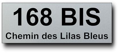 Plaque Boite aux Lettre Personnalisable - 12 Cm x 5 Cm - Numéro de Maison et Adresse - Gravée et Personnalisée pour Plaque de Rue - Chiffre Maison - Extérieur - Autocollant (Argent)