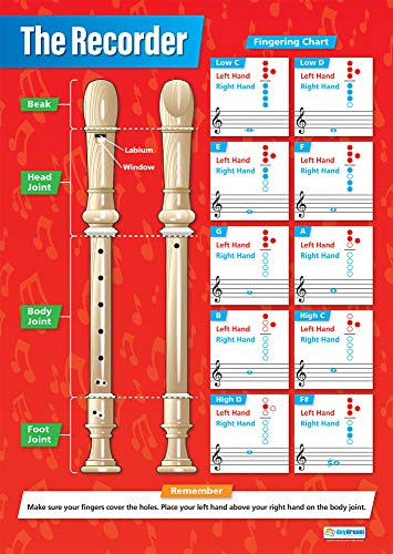 Daydream Education: Die Blockflöte, Musikposter, Glanzpapier, 850 x 594 mm (A1), Musikposter für das Klassenzimmer, Bildungsposter (englische Version)