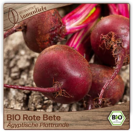 Samenliebe BIO Rote Bete Samen alte Sorte Ägyptische Plattrunde Beete Rüben 150 Samen samenfestes Gemüse Saatgut für Gewächshaus Freiland und Balkon BIO Gemüsesamen