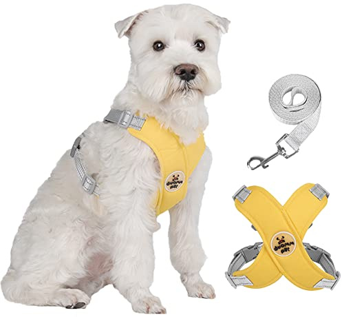 FEimaX Hundegeschirr für Kleine Mittlere Hunde Anti Zug Reflektierend Weich Brustgeschirr mit Hundeleine No Pull Hunde Geschirr Verstellbare Atmungsaktiv Welpen Hundegeschirr