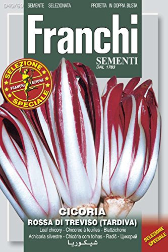 Franchi Seeds of ItalyChicory Rossa di Treviso Tardiva Seeds