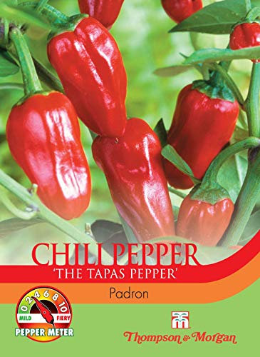 Thompson & Morgan - Vegetables - Pepper Chilli Padron - 10 Seed