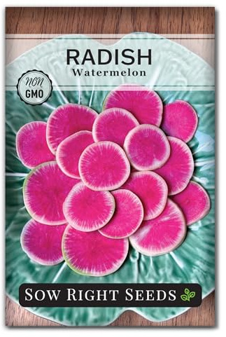 Sow Right Seeds - Watermelon Radish Seed for Planting - Non-GMO Heirloom Packet with Instructions to Plant a Home Vegetable Garden - Unique & Rare Veggie, Watermelon-Like Coloring When Cut (1)