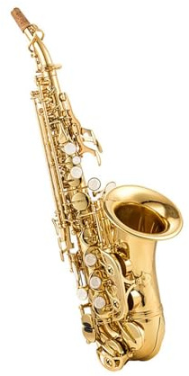 Goldlackiertes Professionelles Altsaxophon Erwachsene Anfänger Lernen Altsaxophon In B Spielen