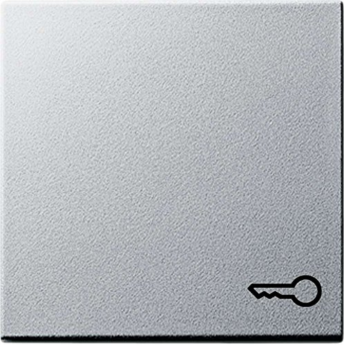 Gira 028726 Wippe Symbol Schlüssel System 55, alu