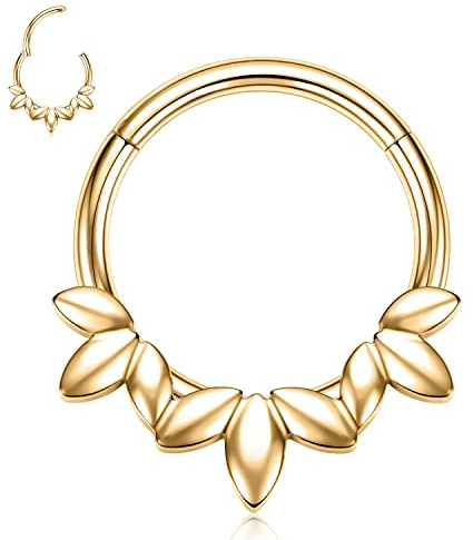 hengkaixuan 16G Septum Clicker Ring 316L Daith Ohrringe Rook Piercing Conch Jewe;ry Nasenring Hoop Higned Segment Seamless Clicker Ring Knorpel Tragus Helix Piercing Schmuck Kleine Creolen