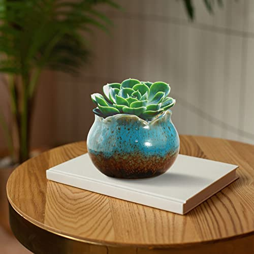 Walbest Macetas suculentas con agujero de drenaje, macetas de cerámica para suculentas de 4 pulgadas, macetas decorativas para plantas suculentas de interior y exterior, color azul