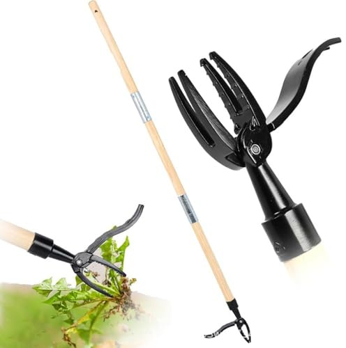 Herramienta de extracción de malas hierbas con 4 garras, removedor de raíces para cardo de diente de león, herramienta de deshierbe de mango largo para césped, jardín y patio