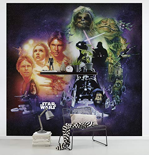 Komar Star Wars - Papel pintado fotográfico, Fieltro, Schwarz, Weiß, 250 x 250 cm (Breite x Höhe), Bahnbreite 50 cm