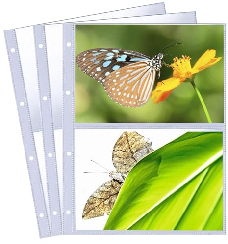 30 Pack Pochettes Transparentes pour Cartes Photo, 2 Compartiments, Format A4 pour Ranger des Photos, des Cartes Postales, du Papier Souvenir (60 poches)
