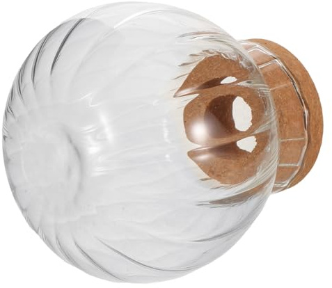 FUTUREORYY Vase en Verre Hydroponique Petit Modèle avec Récipient Transparent pour Propagation de Plantes, Jardinière Écologique Décorative de Bureau, Station de Bouturage Intérieur Adaptable