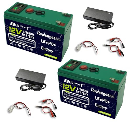 SSCYHT Batterie au Lithium 12 V Batterie Solaire Batteries LiFePO4 20 Ah Batteries Rechargeables pour éclairage de Secours et Alimentation de Secours avec Port USB, écran,12v15ah 2pack