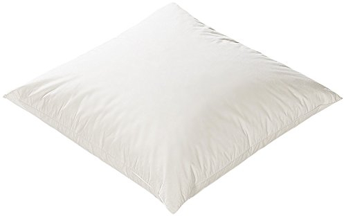 Öko Planet Bio Daunen Kissen 80x80 cm, Kopfkissen mit Baumwoll-Bezug, waschbar
